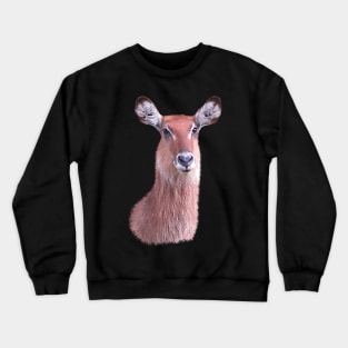 Waterbuck - Antelope - Gazelle - Africa Crewneck Sweatshirt